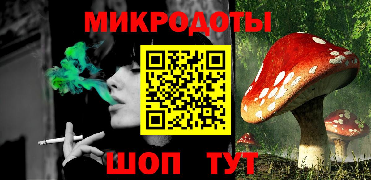 Галлюциногенные грибы прущие грибы Кизилюрт