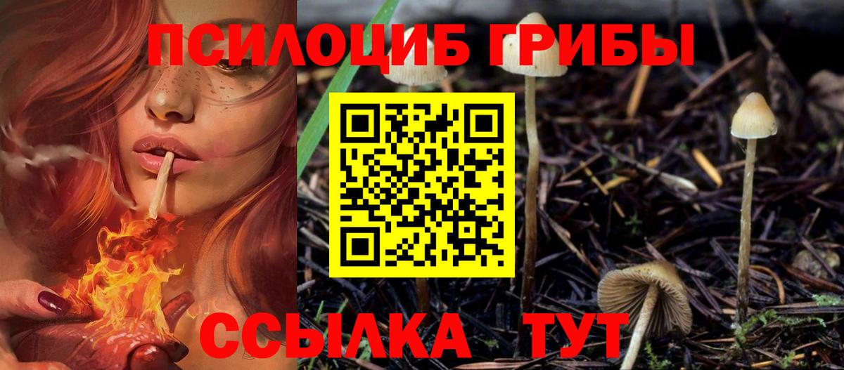Псилоцибиновые грибы мухоморы  Вход с VPN  как найти закладки  Кизилюрт 